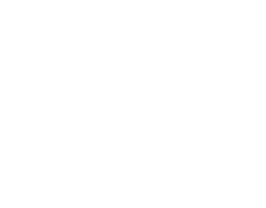 SPECIAL VOICE OF TALK SPECIAL VOICE GUEST